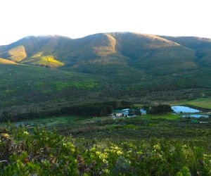Die plaas, Flower Valley van Flower Valley Conservation Trust wat vanjaar hulle 15de verjaardag herdenk